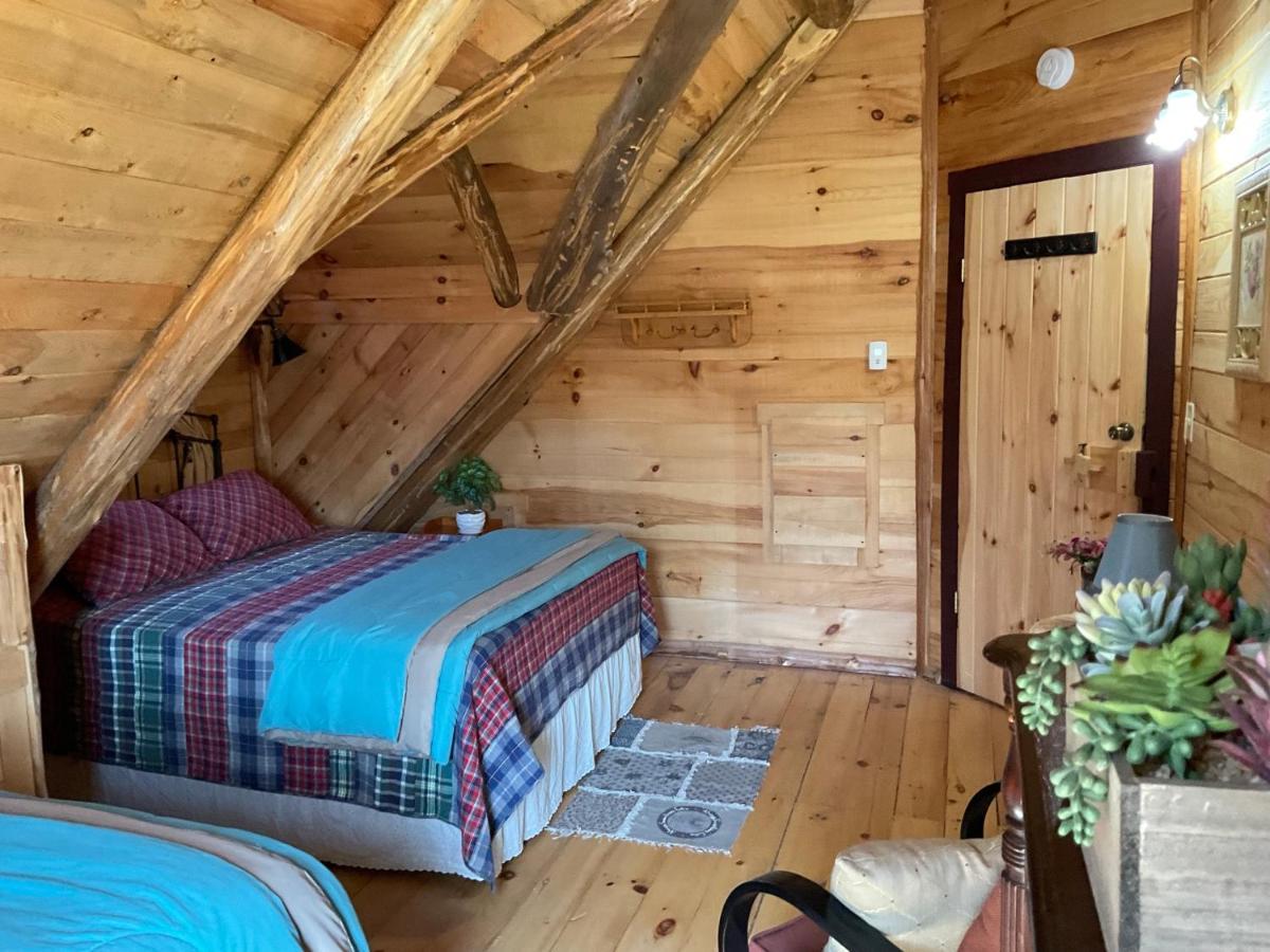 Lodge Solange Palatino Bridge 外观 照片